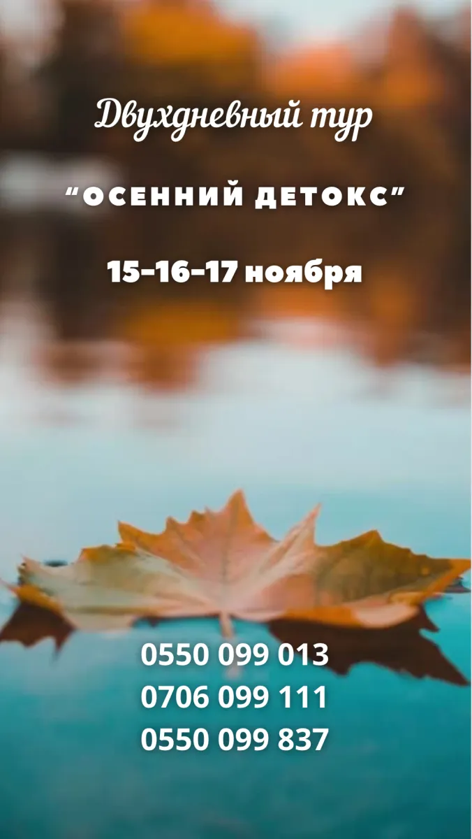 Двухдневный тур "Осенний детокс"